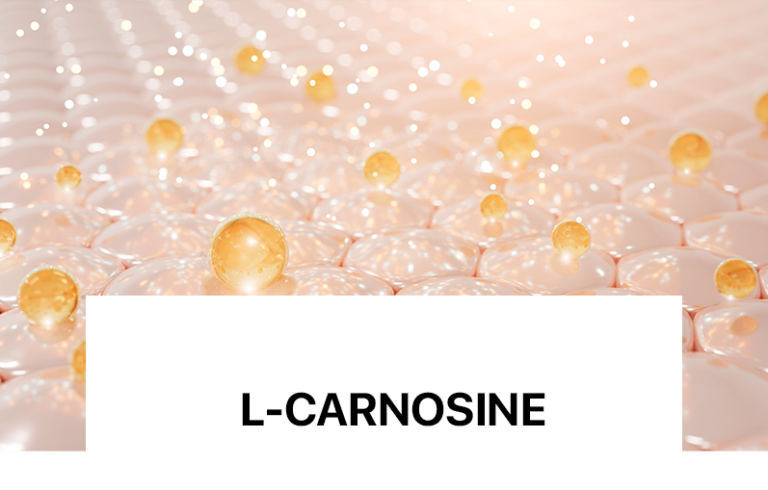 Mbron proteinat strukturore si kolagjeni, duke ngadalësuar procesin e plakjes dhe parandaluar shfaqjen e rrudhave dhe humbjen e elasticitetit.