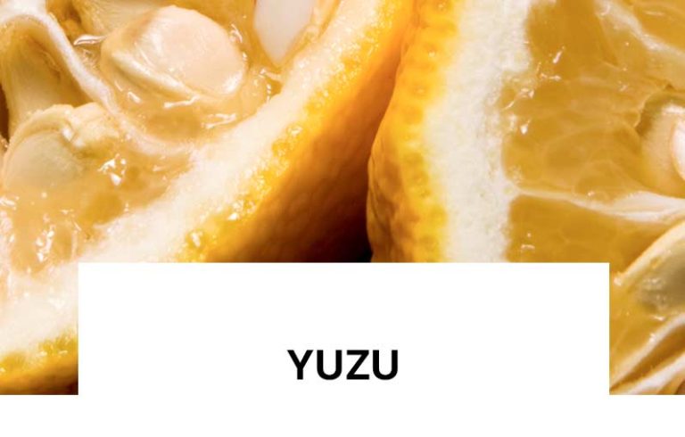 Me origjinë nga Japonia, ky frut agrumesh përmban shumë më tepër vitaminë C se limoni, ka veprim të fuqishëm antioksidues, ndihmon në rikthimin e lagështisë dhe ndriçon lëkurën.