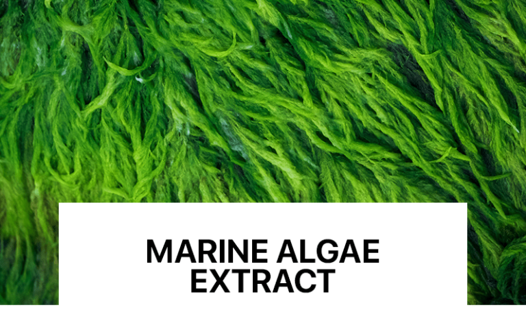 Zvogëlon shenjat e lodhjes dhe plakjes rreth syve, redukton rrudhat dhe mbron lëkurën.