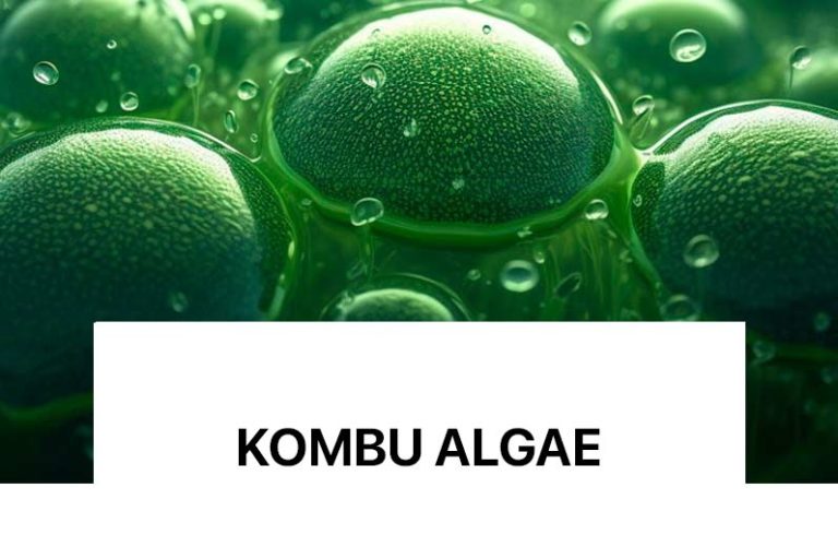 Mbron lëkurën nga plakja qelizore. Gjithashtu ka vetitë për mbushjen e rrudhave dhe riaktivizimin e sintezës së kolagjenit.