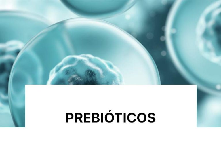 Bazë e formuluar me trashës prebiotik. Ofron veti të shkëlqyera trashjeje dhe zbutjeje, duke dhënë një ndjesi të pasur dhe mëndafshtë gjatë aplikimit.